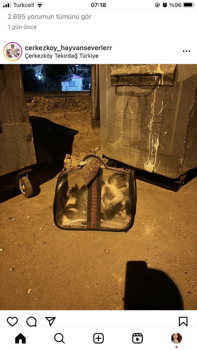 Acil yuva bir anne ve yavruları Bu çantayla ve üzerinde küçük mama poşetiyle sokağa atılmış..Çok acil yuva aranıyor Çerkezköy