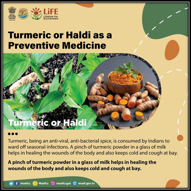 #MissionLiFE #ChooseLiFE
Use Turmeric (Haldi) as a Preventive Medicine. 
@RailMinIndia
@moefcc
@gmblw