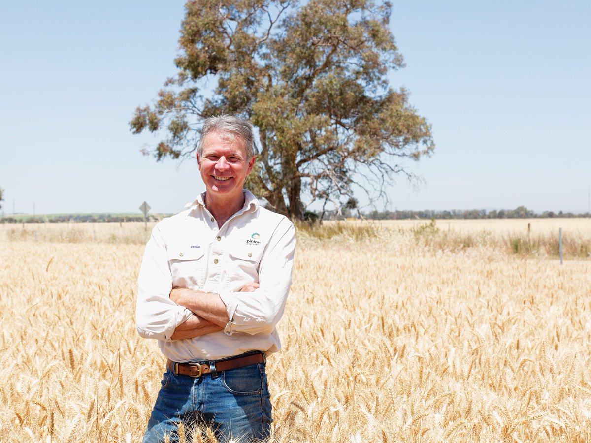 🌱🌱 ADVISER SNAPSHOT Pinion Advisory 's @tcraddockRD has been an agronomic consultant for more than 25 years. He says you can't beat working closely with innovative growers. ⭐ More bit.ly/3xXmZ8r ⭐ 📷 Pinion Advisory