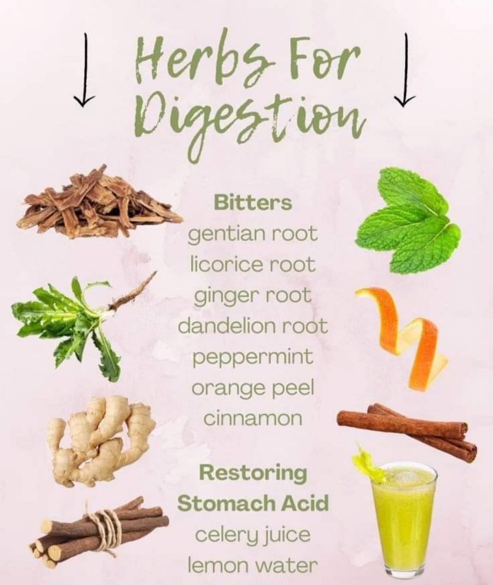 Amazing herbs with Amazing benefits ☘️🌿Herbs for digestion 🌿 #herbs #organic #vegan #health #natural #nature #herbalmedicine #plantbased #healthylifestyle #herbal #healing #plants #detox #healthy #food #wellness #healthyfood  #holistichealth #guthealth #digestion