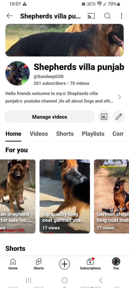 My all dear twitter friends  welcome to my new and first youtube channel keep support me   please subscribe,like,share 🙏 #Twitter #youtubechannel #YouTubers #YOUTH #BloggerCommunity #dogs #gsdLovers #GermanShepherd
youtube.com/@SandeepGSD?si…