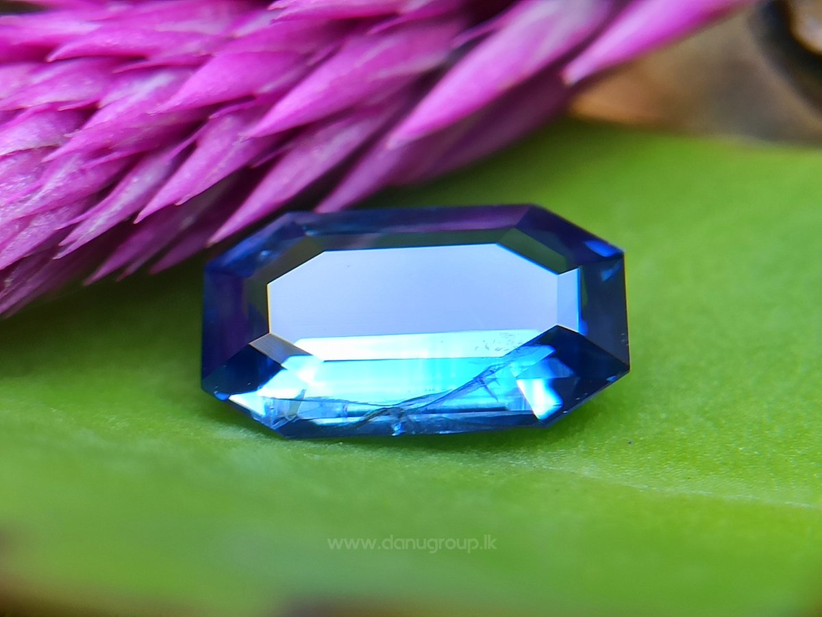 Unveil the enchantment of Ceylon Natural Blue Sapphire! view product - danugroup.lk/product/ceylon… #ceylonbluesapphire #naturalsapphire #ceylongems #gemstones #gemstonedealer #gemcutter #ringdesign #octogonshape #sapphirering #fashion