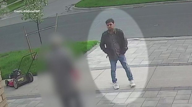 York Regional police are searching for a man after a woman was allegedly sexually assaulted while walking her dog in Markham.