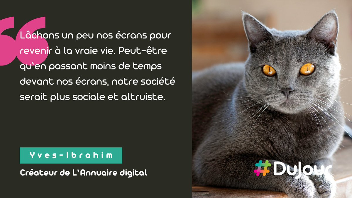 Emilie Marquois tweet media