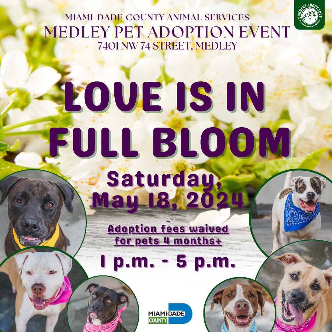 Love is in full bloom when you join us at our Monthly Pet Adoption Event at the Medley Shelter on May 18th from 1 to 5 p.m. .