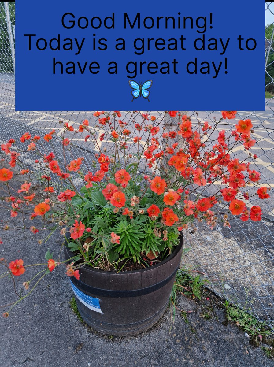 enablingwings's tweet image. On route to Liverpool street. 

Fresh morning air... birds singing! 

interesting less than 5% women on the train. 

Is that due to time of day? General culture?  What are your thoughts?