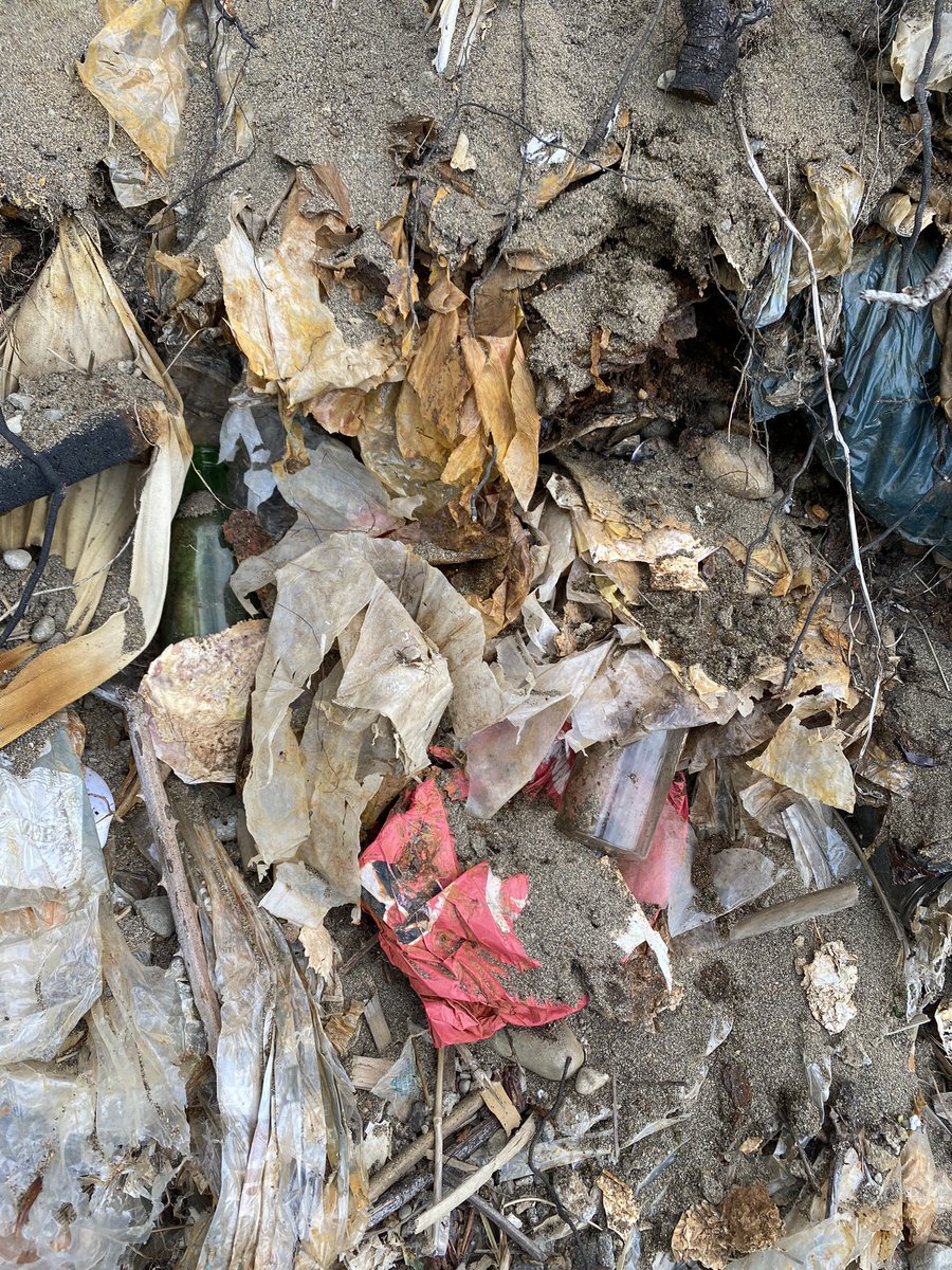 FraserRiverFind's tweet photo. Ever heard of Kelly’s Records in Vancouver? 

Well, I almost had a fourth bag but it was in way to bad of shape considering the others I’ve collected.

#fraserriverbags #fraserriver
#developingcountry #plastic 
#richmondbc #beautifulbc
#fraserriverjunkyard
#catchandrelease https://t.co/oAPliiV3jg
