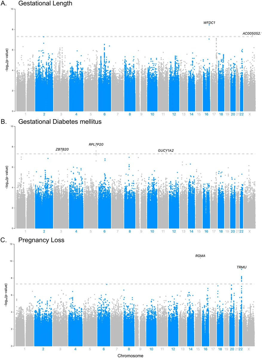 Genetic polymorphisms associated with adverse pregnancy outcomes in nulliparas nature.com/articles/s4159…