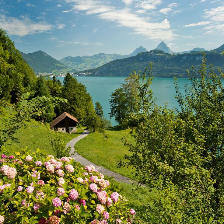 Beauty of Switzerland 🍀☘️🍀