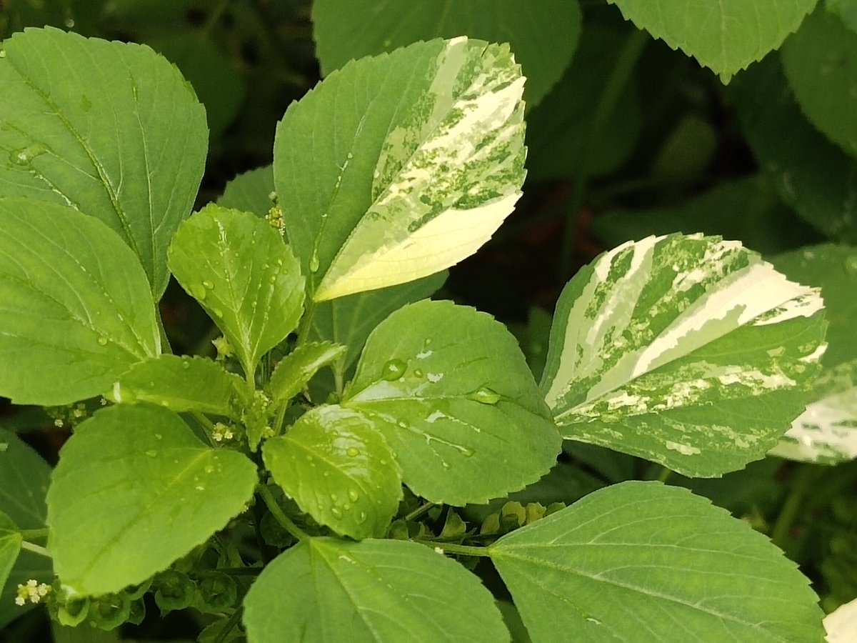 แอบเหงา😀😀 tweet media