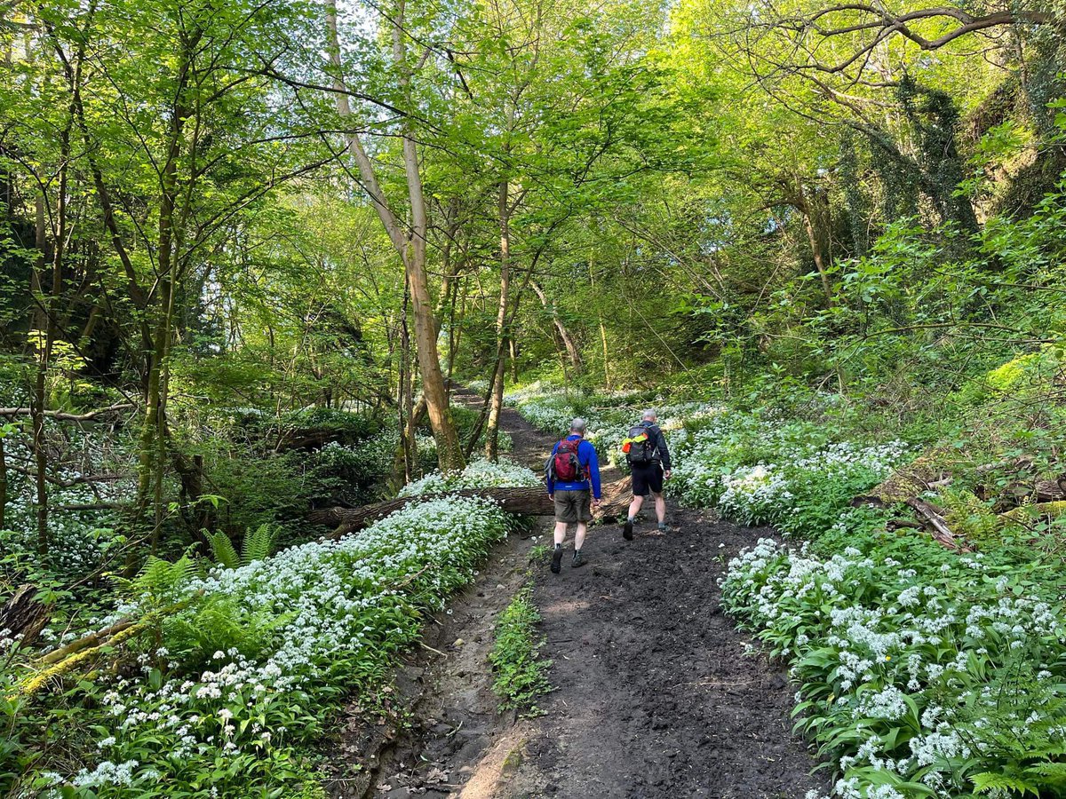 We have such wonderful dingles throughout the Gorge - anyone know which one this is? And which one is your favourite?