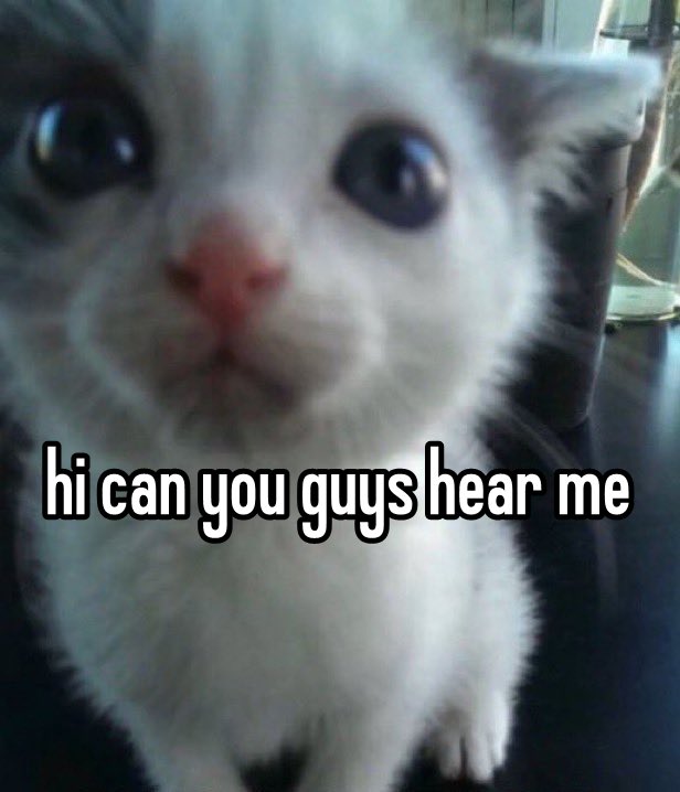 lucien ●⟐○ tweet media