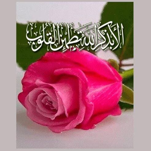Mehar Amzat tweet media