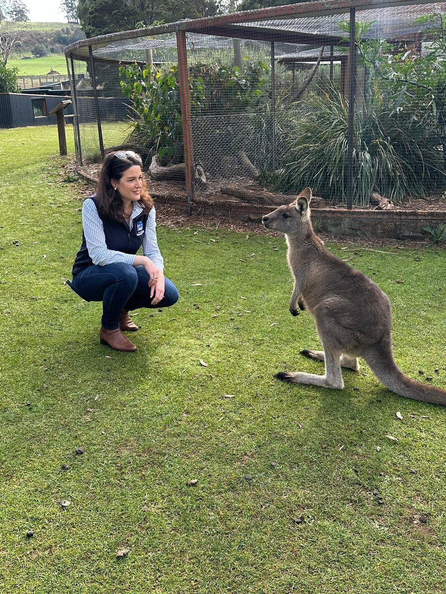 Caught up with some very friendly constituents at Trowunna Wildlife Sanctuary this morning!