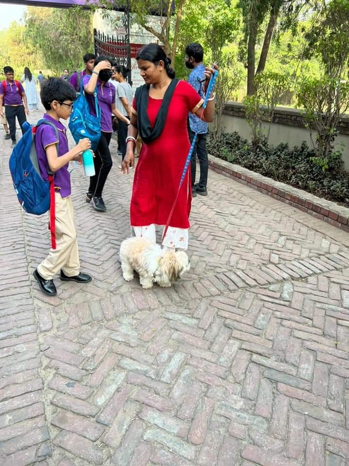 Throwing it back to the heartwarming celebrations of National Pet Day at BHIS Kanpur on April 11th, 2022! 🐾 Our students brought their beloved pets to school, spreading joy and love everywhere they went. 
#umakrishnaeducationalfoundation #bhiskanpur #thursdaythrowback #memories