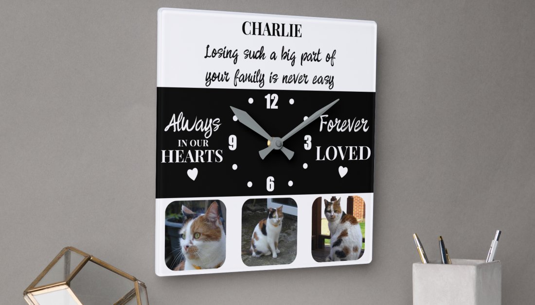 zazzle.com/z/291kdjie?rf=… #petloss #clock