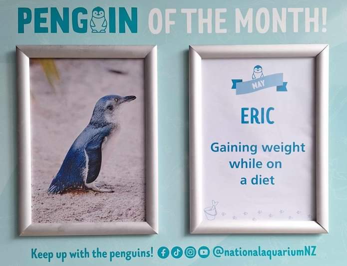 Penguin update: Eric is an inspiration to us all