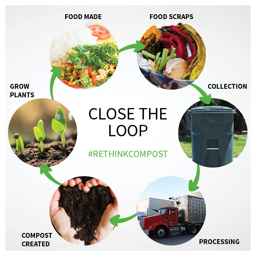 RethinkWaste's tweet image. DYK? The green compost bins serviced in the RethinkWaste service area (Burlingame to East Palo Alto) gets turned into nutrient-rich compost, which goes back to the community to be used for houseplants, home &amp;amp; community gardens, and more ♻🌱. #InternationalCompostAwarenessWeek