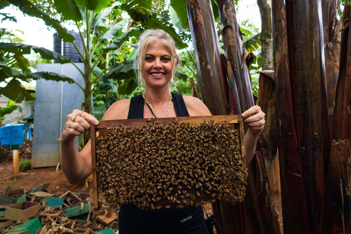 KeralaTourism's tweet photo. If you visit Thekkady, be sure to pick up a bottle of fresh and pure honey straight from the bee-farms. Apiculture was launched here as part of Kerala’s Responsible Tourism Mission, resulting in income generation for the locals.

#BeeFarming #Thekkady #ResponsibleTourism #KeralaTourism