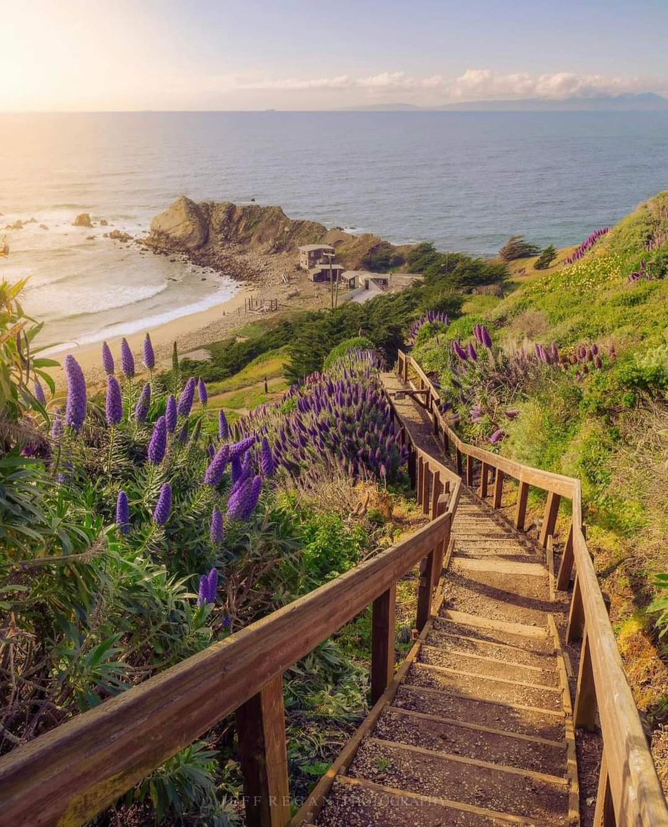 mashamarocha's tweet photo. Who were able to guess the location from the morning reel? The secret is revealed.

Photographers often prefer to keep the locations of their picturesque discoveries undisclosed. For this particular scene, one might only deduce that it's somewhere in Pacifica, California. However, there are no secrets on Caliscovery. We've uncovered the exact beach for you - it's called Shelter Cove. Moreover, we've identified these very stairs, which start from the so-called Pedro Point 👇
https://t.co/KvmDWD5cIs

📸 IG @ssvhd

#california #pacifica #sheltercove #norcal