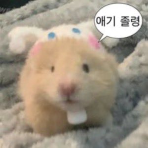 애기 졸령

#cd #여장 #시디