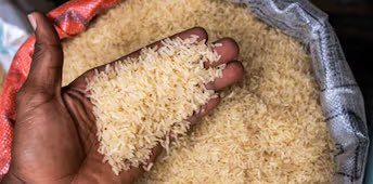 ทุเรศมากโพสต์หลอกคนอ่านแบบนี้ แล้วถ้าแอฟริกาเห็นเขาจะคิดยังไง เขาไม่ได้ชอบข้าวเก่าจนเหลือง พันธุ์ข้าวเขาเป็น long grain rice มันร่วนและสีเหลืองธรรมชาติ เพราะอาหารบ้านเขาเป็นกะทิหรือเอาไปหมกเป็นส่วนใหญ่ข้าวต้องร่วน อย่าเอาความเดือดร้อนไปให้ประเทศอื่น