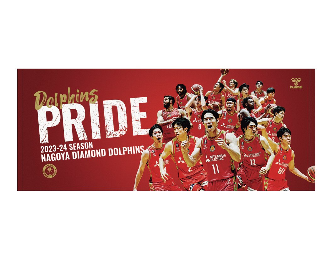 ━━━━━━━━━━━━━━━━━━ 新発売！ Dolphins PRIDE