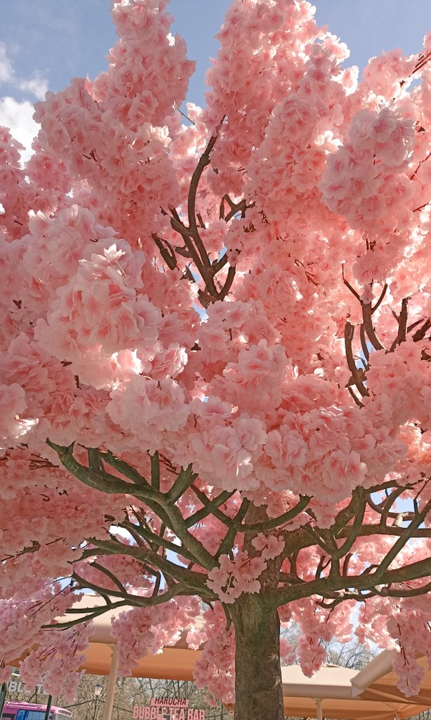 Gm gm dear nft-friends 🌞
Summer has finally arrived in our area and we are slowly starting to get out of our home «den» 😄

I haven't been here for a long time, tell me, how are you? ♥