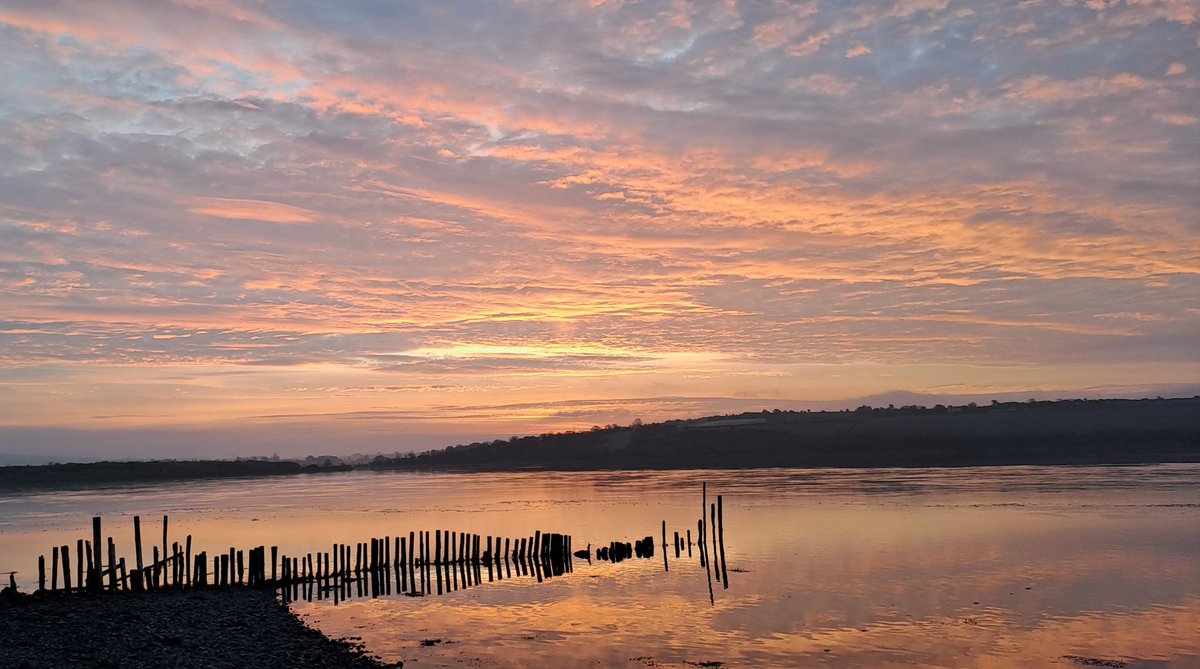 A bit of pre sunrise calm and light this morning at #MoransPolesSunrise #Cheekpoint #Waterford