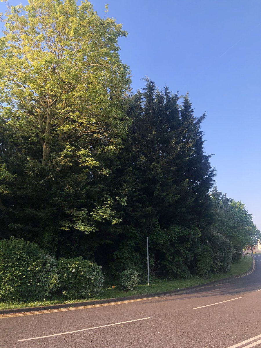 It’s a beautiful sunny morning - I’m off to a spinning class (and I really don’t feel like it today 😂)