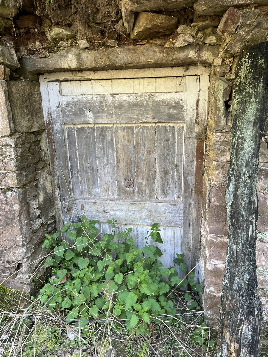 A hidden door in the Belmont estate #meigle for #adoorabledoors