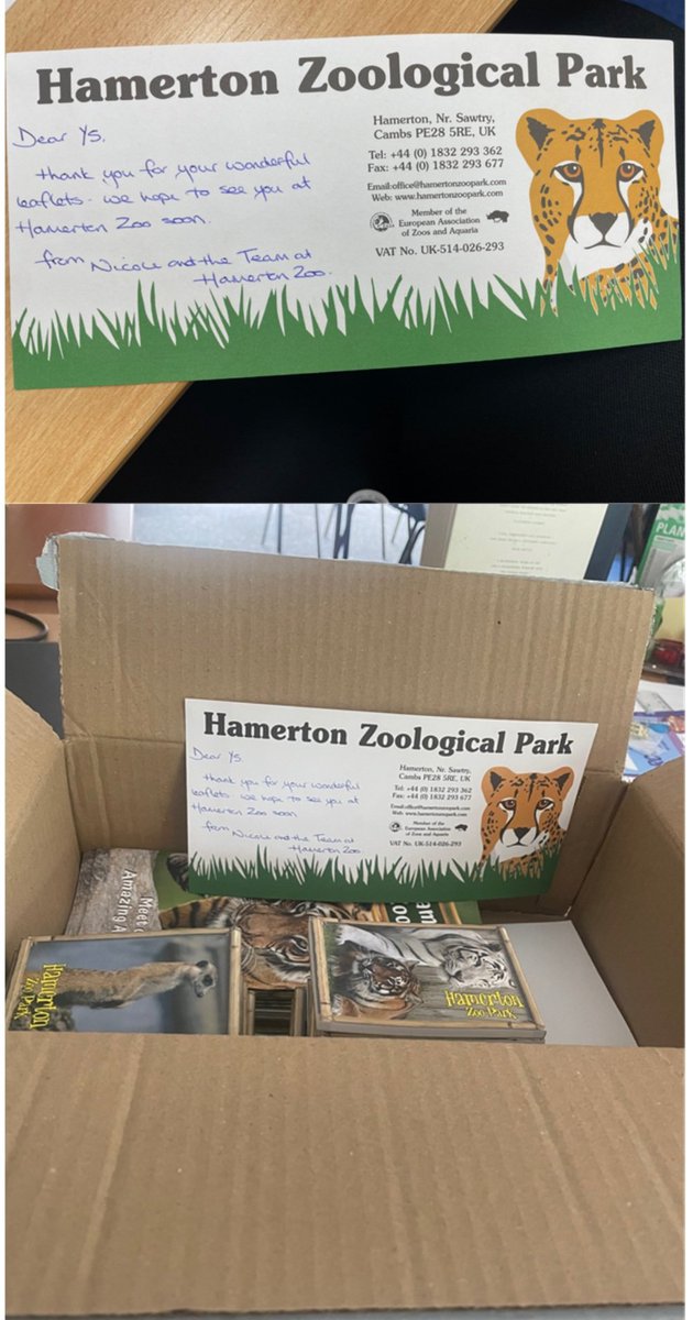 Express delivery! @HamertonZoo you have created a lot of excitement in Y5 this week! Thank you ever so much for sending a reply to our leaflets & filling a parcel with lots of goodies too. @InfinityAcad @CandlerHannah @Mr_S_Infinity #appreciationpost #purposefulwriting 🐆🐻🐆🦜