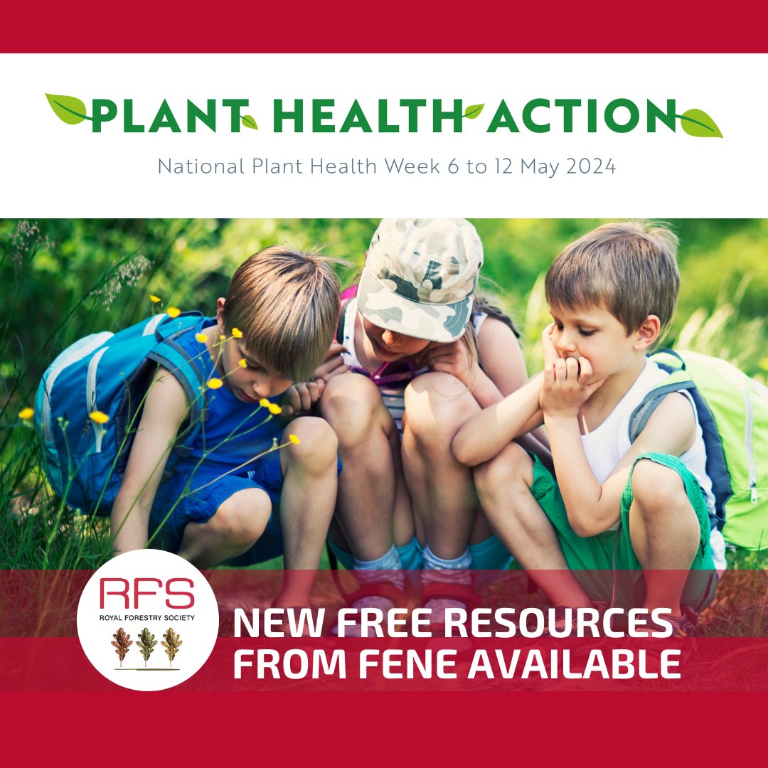 Free Resources from the Forest Education Network: England (FENE) linked to Key Stages 1, 2, and 3: ow.ly/r7FK50RsU7O Teach children what healthy trees look like and citizen science for the future! #PlantHealthWeek #ForestEducation #STEMEducation #CitizenScience #Teach
