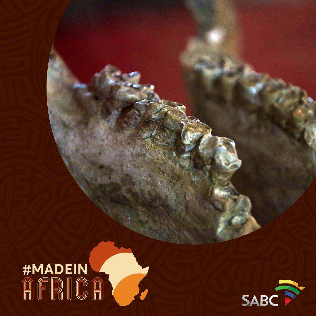 Africa is a continent rich in history, culture, and natural resources, and it has contributed many famous things to the world. One of them is being recognized as the birthplace of humanity. 

#MadeInAfrica