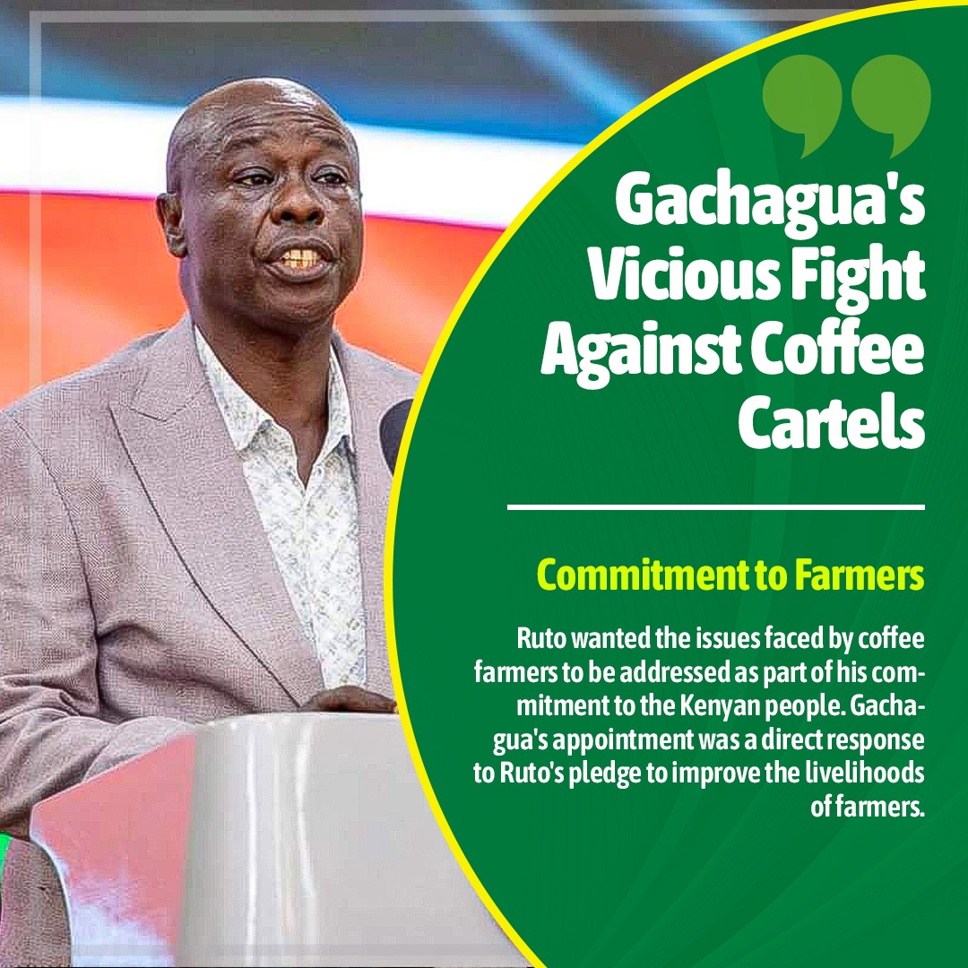 Gachagua's leadership was marked by fearlessness as he boldly confronted powerful cartels that had long exploited coffee growers.
#CoffeeSectorReform
#RigathiOnAssignment
Empowering farmers