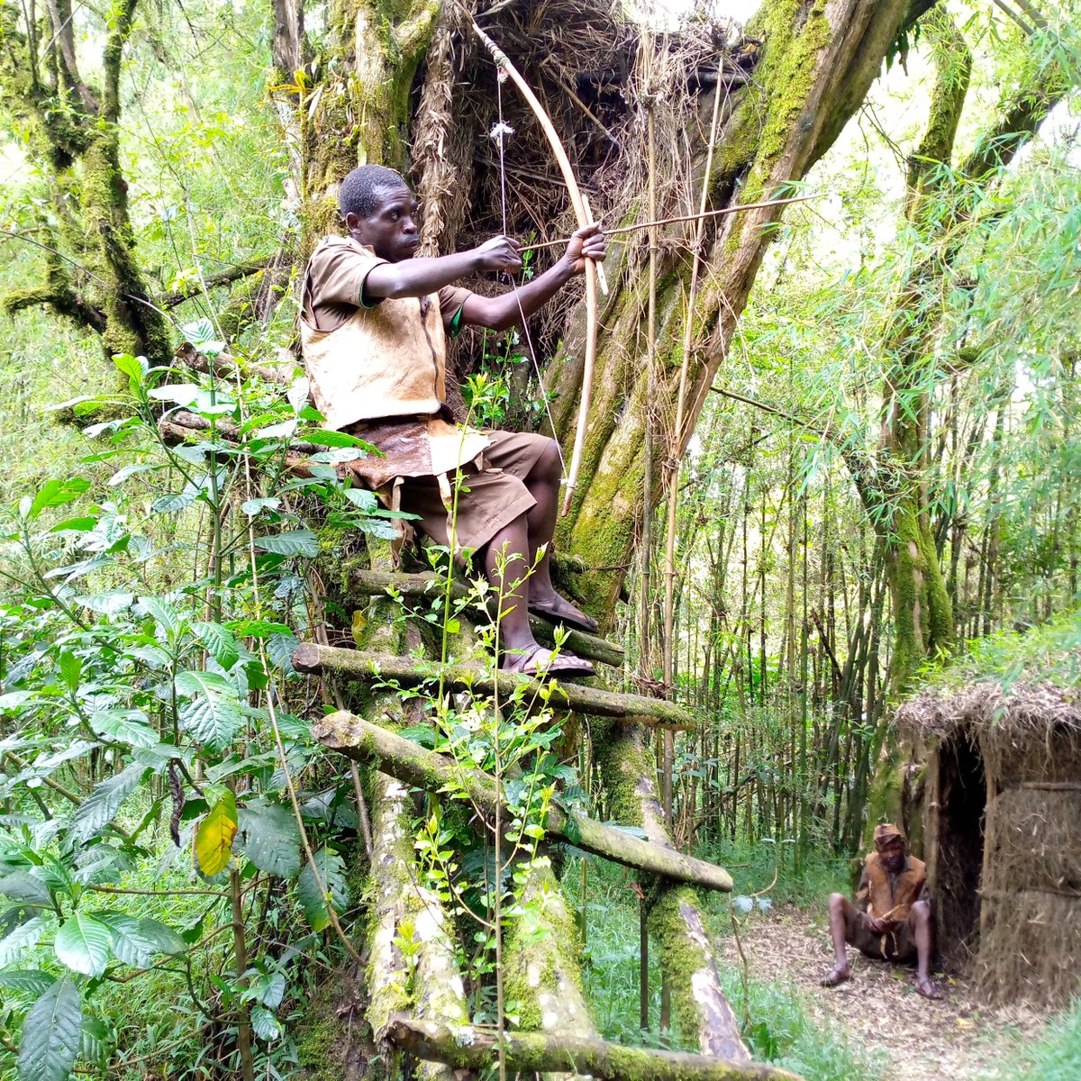 Kisoro has one of the indigenous tribe of the Batwa. The Batwa trail journeys you to the life they lived before their relocation from the Park. Miss not the Ngarama cave which is believed to be where their leader stayed. #IndigenousPeoples #adventure #culture . Book your Tour.