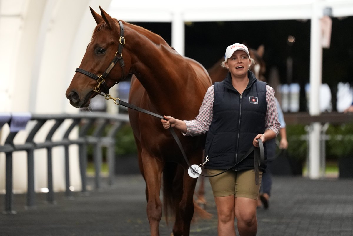 The rarest of offerings💎 SHE'S E❌TREME sells for $3⃣,4⃣0⃣0⃣,0⃣0⃣0⃣ at the @inglis_sales Chairman's Sale to @CoolmoreAus 👏 A Group 1 winning 2YO & a Group 1 VRC Oaks winner, we were honoured to consign this absolute QUEEN👑 Congratulations to @dorrington_farm & connections👏