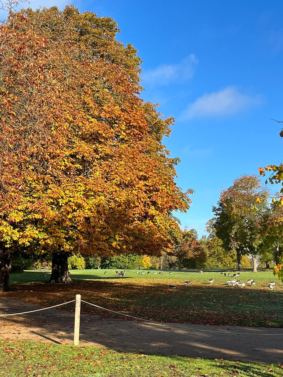 SimoneMesse's tweet image. In the morning there is subtle sunlight and a sense of new life ☀️