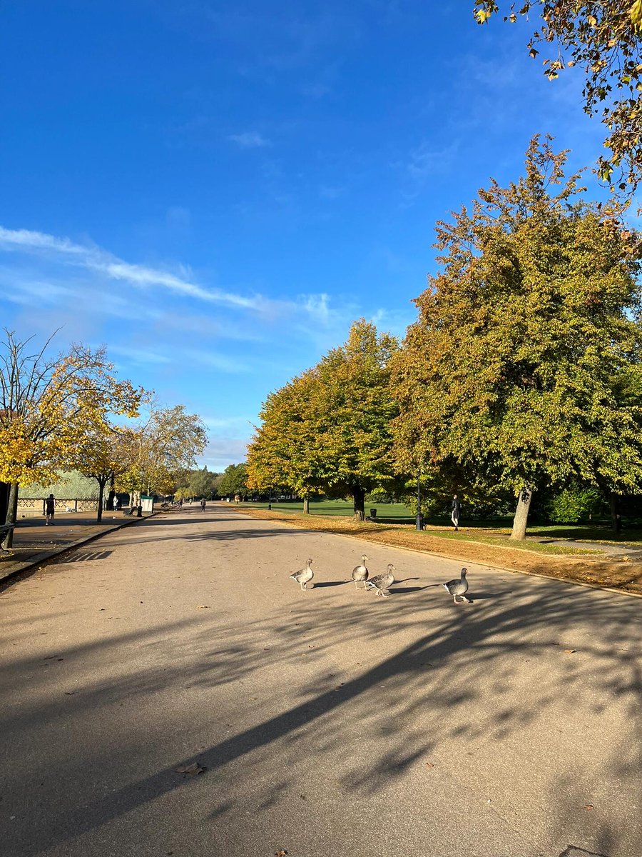 SimoneMesse's tweet image. In the morning there is subtle sunlight and a sense of new life ☀️