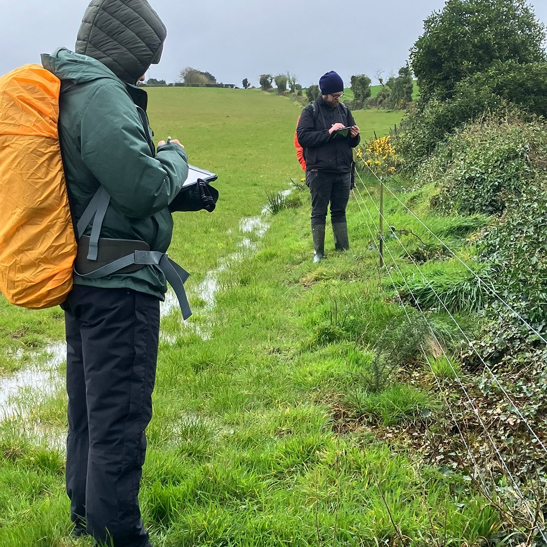 We’re currently working with partners to survey hedges in Northern Ireland – this survey, the first since 2007, will provide an update on the state of NI hedgerows #NationalHedgerowWeek