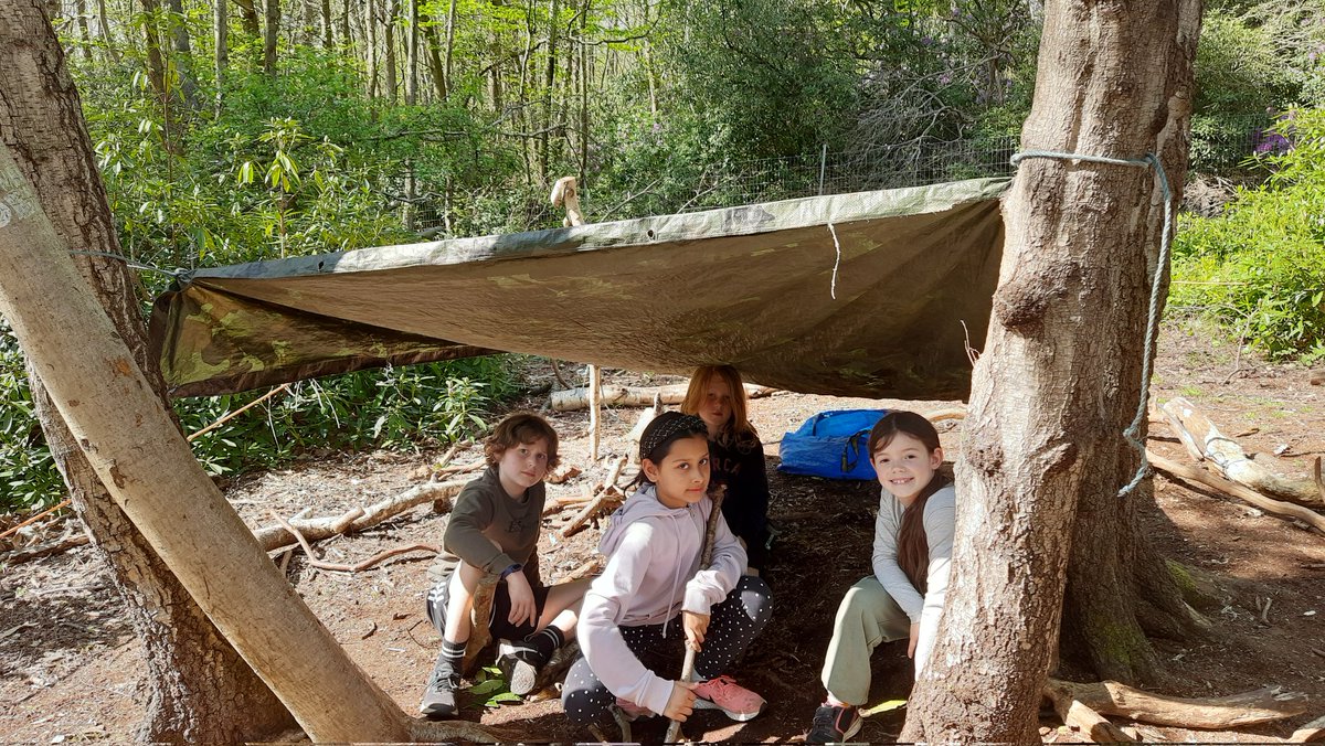 Y4@fircroft.family tweet media