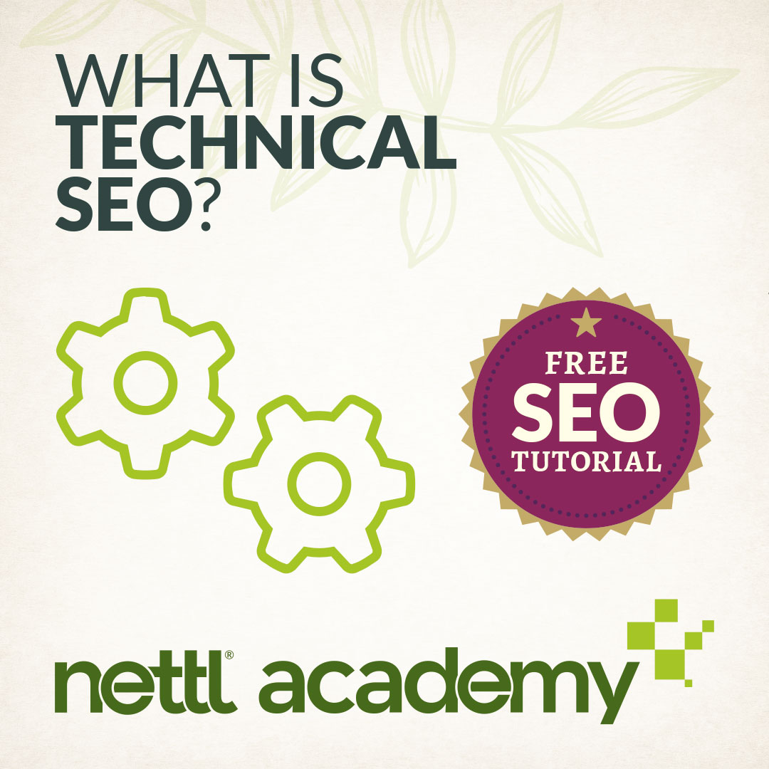 Let's get technical, technical. I wanna get technical. Let's get into technical. Show what's in your <body> tags. Your <body> tags. Let me see your <body> tags. What is Technical SEO anyway? Find out by watching our free SEO tutorial: Just search 'nettl technical seo”