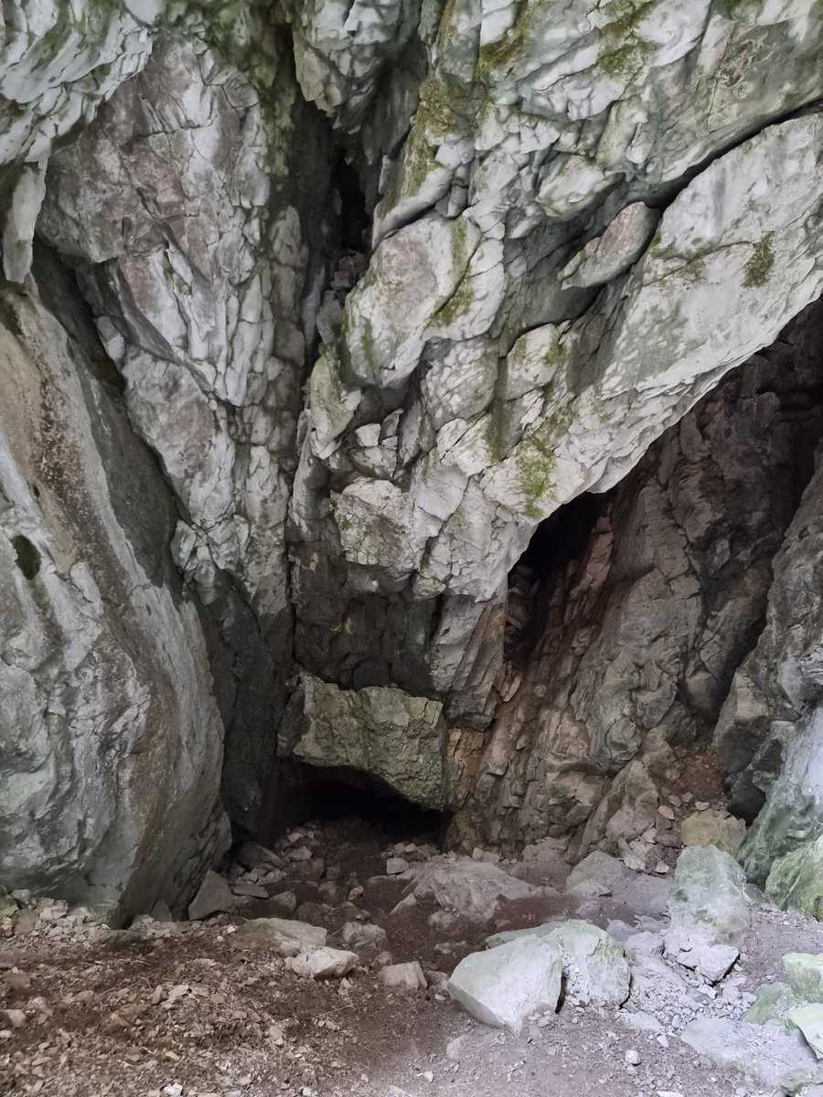 Simstr's tweet photo. Včerejší výlet do Koscieliske Doliny, Polské Tatry. Jeskynní systém nezklama 🙃 medvěda jsme nepotkali 😀 #koscieliska #zakopane #tatry #poland https://t.co/MOTNvOuh6T
