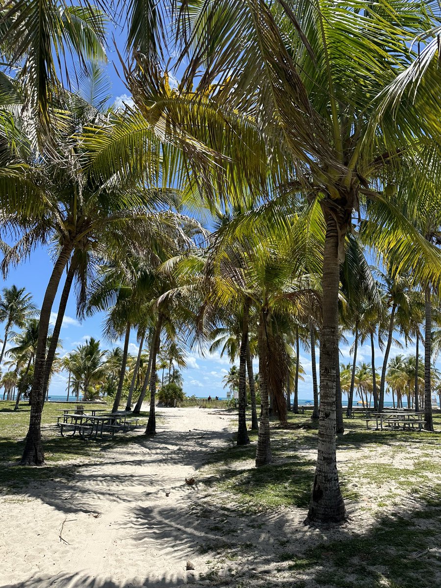 andominguez6's tweet photo. Hace un año estaba en Miami y Orlando 😭🥰❤️‍🔥 https://t.co/rHj1xmOCMR
