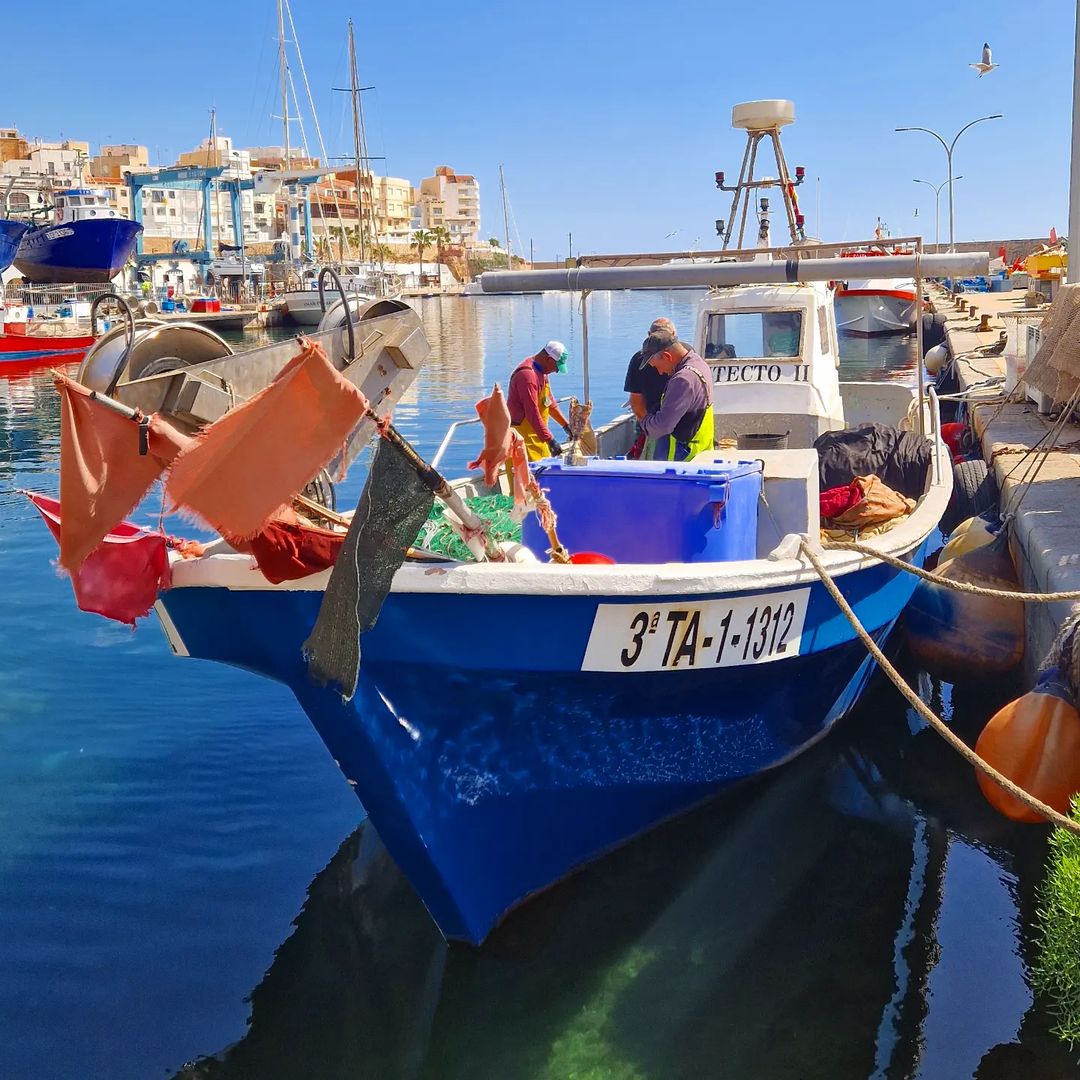 #bondia ! Quins afortunats som de comptar amb els nostres pescadors que  ens brinden el millor de la mar Mediterrània! 

📸👉 Mercè Benaiges

#AmetlladeMar #TerresdelEbre #CatalunyaExperience