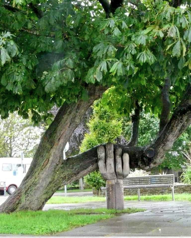Die helfende Hand... ✋🌳 
hält den instabilen und sehr 
beliebten Baum: 
der Wonky Conker Baum in 
Bideford, Devon... 
seit 20 Jahren aufrecht . 

#Schönesgegendoofes