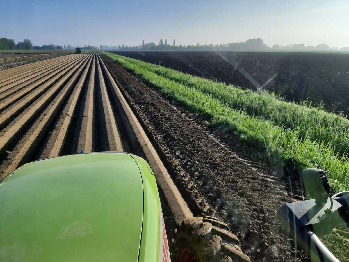 Theo Jansen tweet media