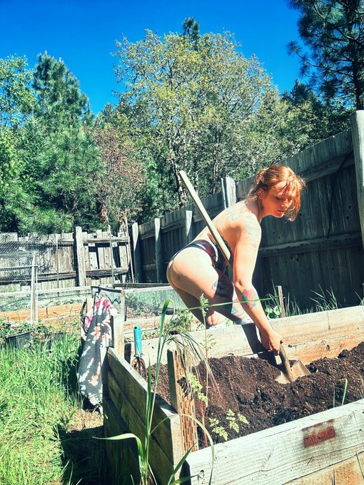 So much fun in my garden today!! Hit me in the DMs with your wallet ready https://t.co/w8CNv4lOdT