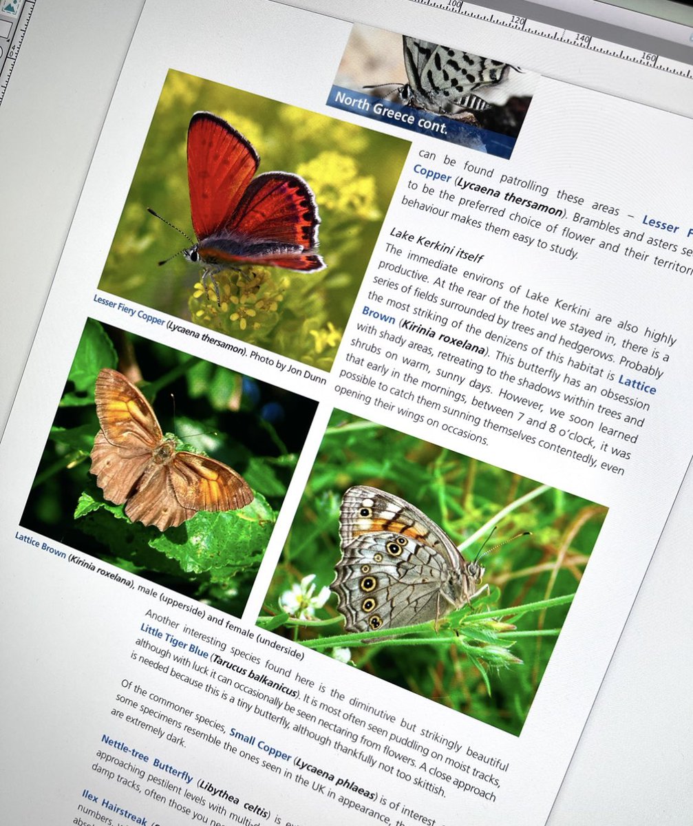 MorganCreativeT's tweet image. Finished designing the latest European Butterflies Group Newsletter #EBG

Amazing photographs and 32 pages packed full of interesting articles. 

Have you got yours? 
To join, just follow the link 

european-butterflies.org.uk

@savebutterflies @BC_WestMids @martinswarren @plowe315