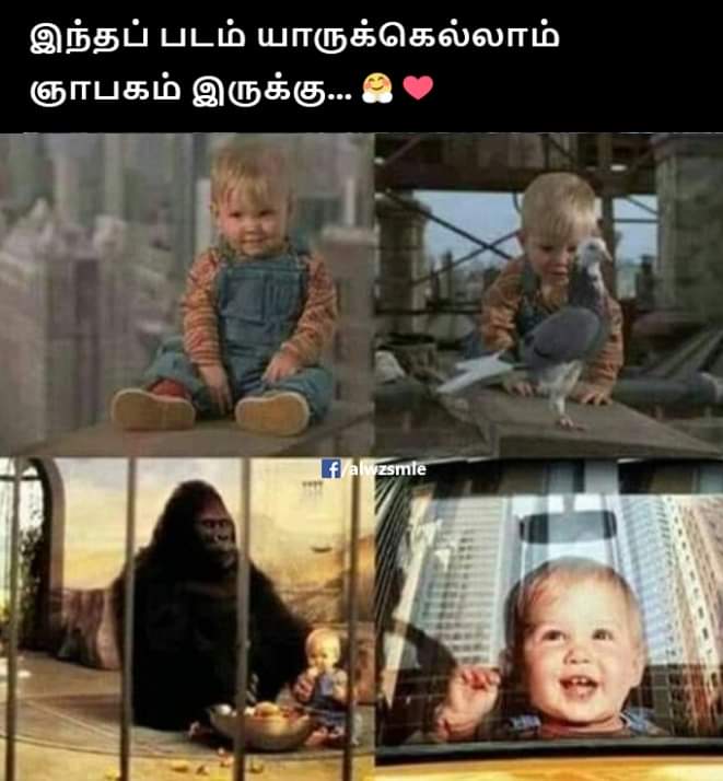 Vadivelu Memes (@Vadivelumeme) on Twitter photo 2024-05-09 06:17:53